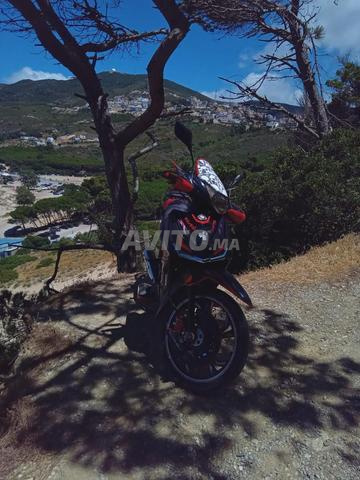 Scooter Sanya 2021 moteur 110 - 2