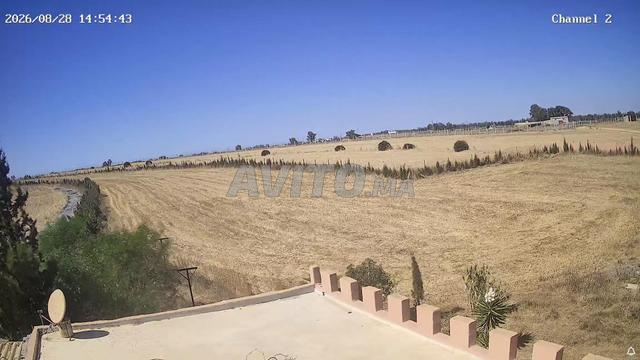 Terrain agricole titré dans un endroit calme près de Benslimane