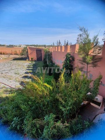 Terrain agricole titré dans un endroit calme près de Benslimane - 2