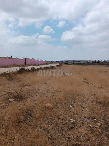 Terrain agricole titre foncier 2929m2 - 2