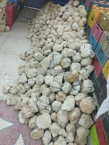 Siderhal Douar Tzmourt - 2