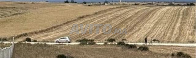 Terrain agricole à Settat - 2