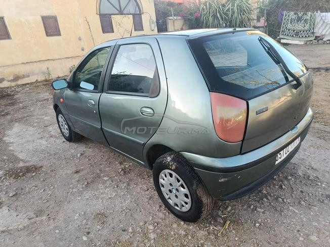 Fait palio 