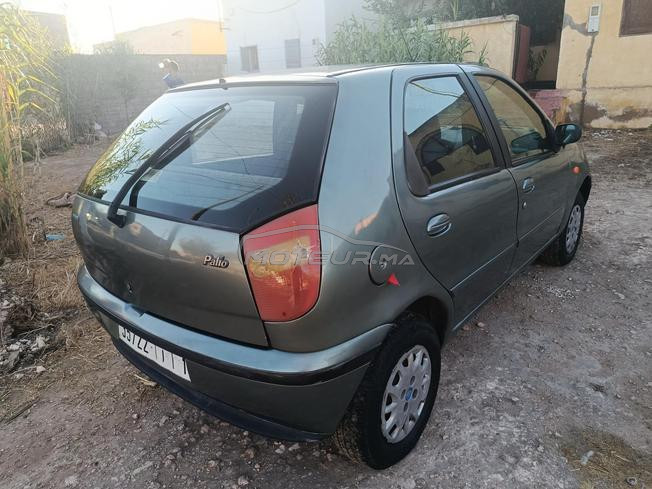 Fait palio 