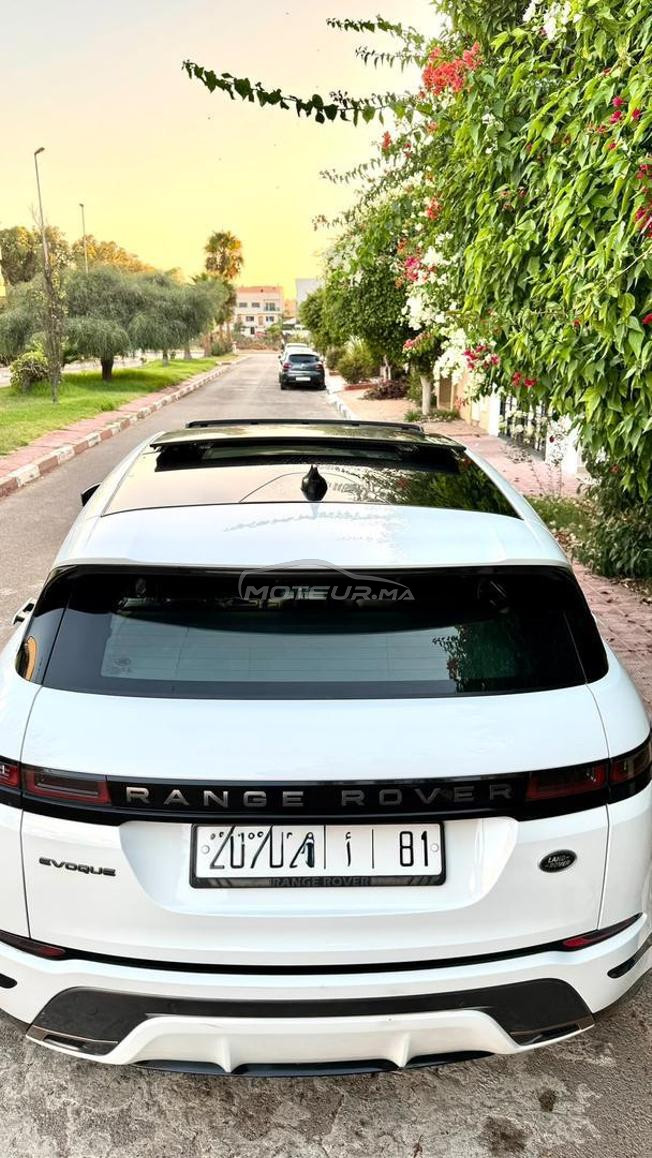 évoque bb velar 2024/01 tt option 