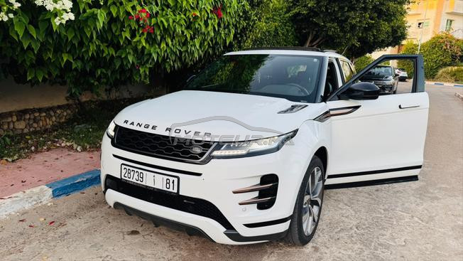 évoque bb velar 2024/01 tt option 