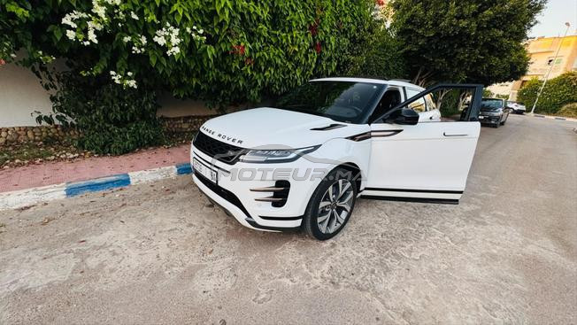 évoque bb velar 2024/01 tt option 