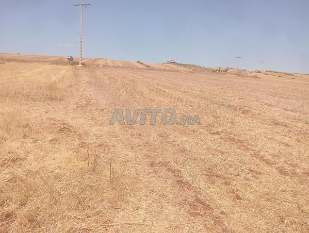 تيفلت طريق المعزيز - 2