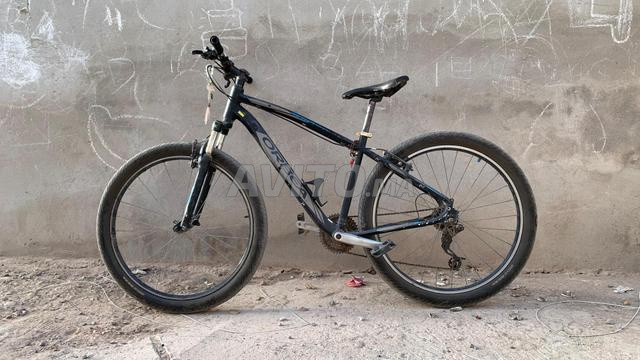 Vélo ORBEA si vous êtes intéressé contactez-nous - 2