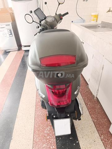 Moto Cappuccino S - 2