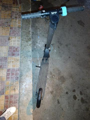 Trottinette Bongo - 2