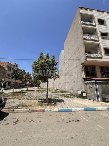 Terrain 2 façades R3 - 2