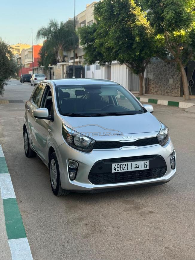 kia picanto 