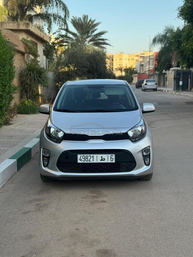 kia picanto 