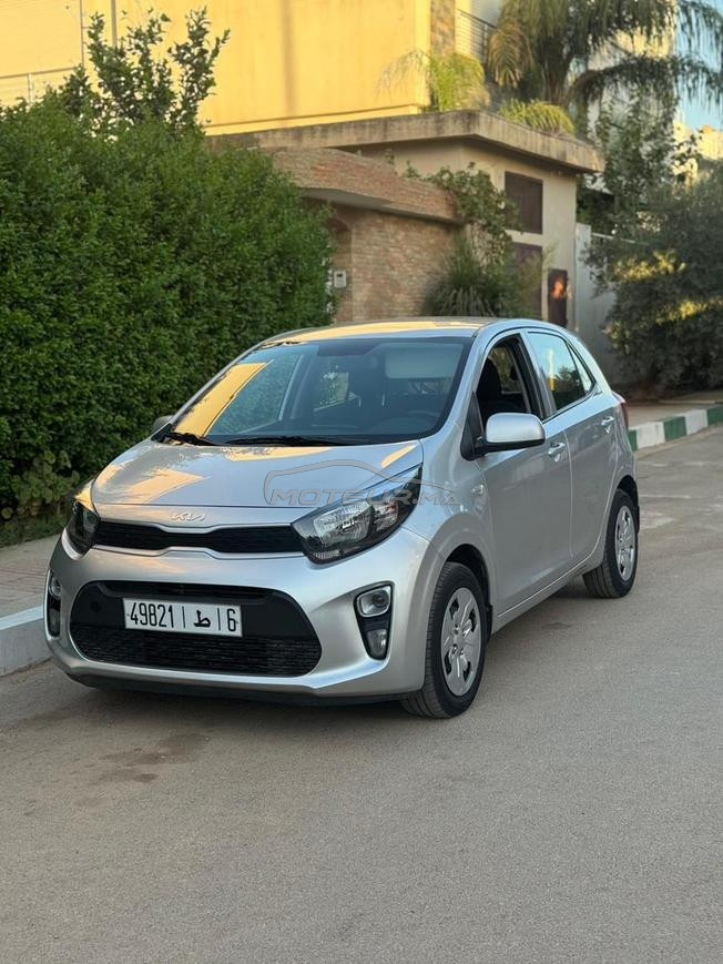 kia picanto 