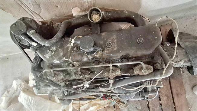   بيجو 504
