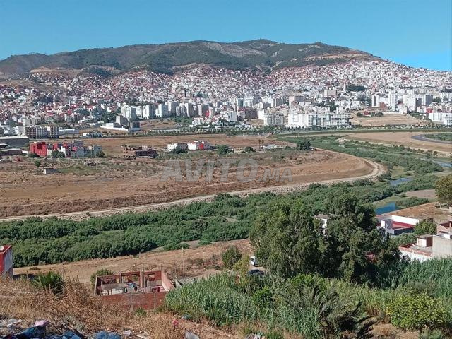 أساس للبيع - 2