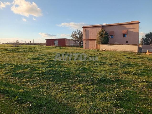 Ferme équipée avec écurie, magasins et maison - 2