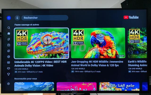 Sony 4K 49 - 2