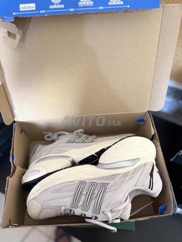 Adidas Original neuves pointure 42 - 2