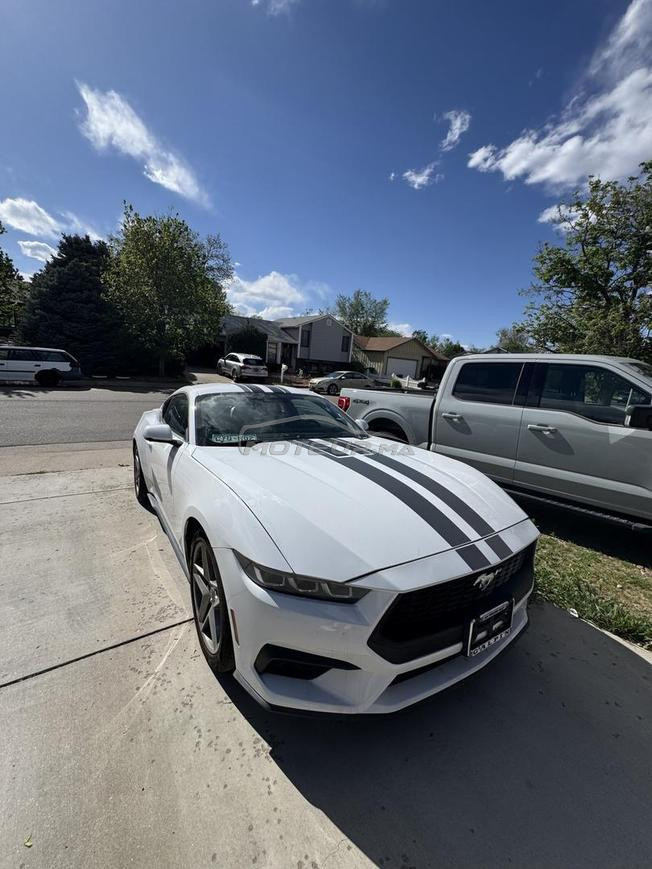 24 ford mustang 