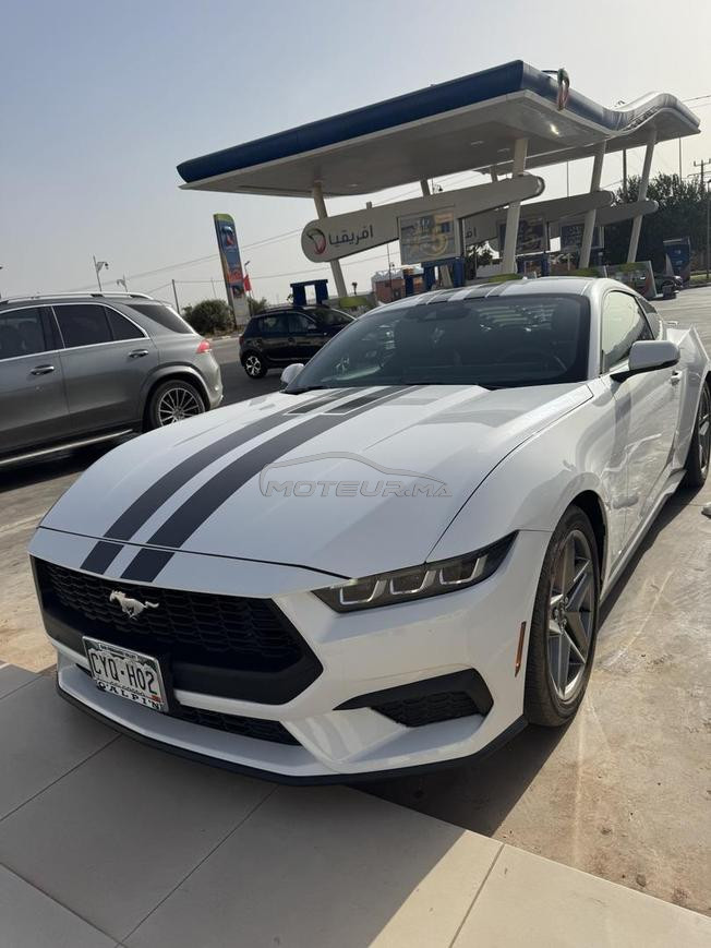24 ford mustang 