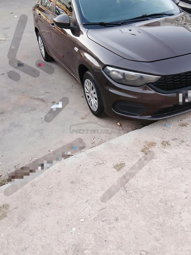 fiat tipo www