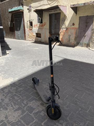سكوترات - 2
