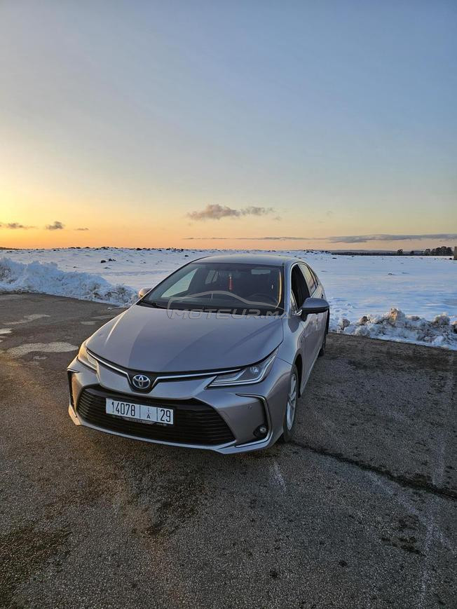 Toyota corolla prestige hybrid 