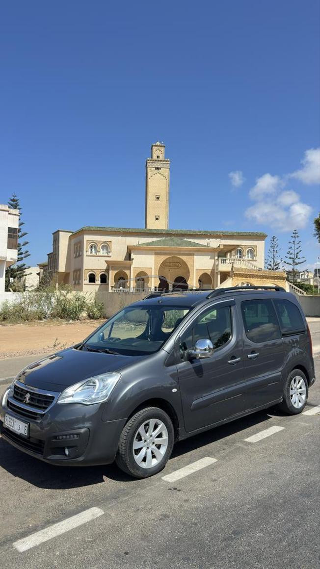 Peugeot Tepee