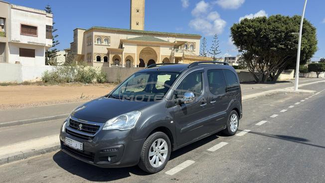 Peugeot Tepee