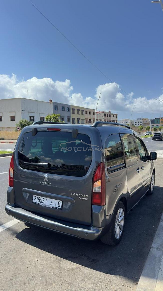 Peugeot Tepee