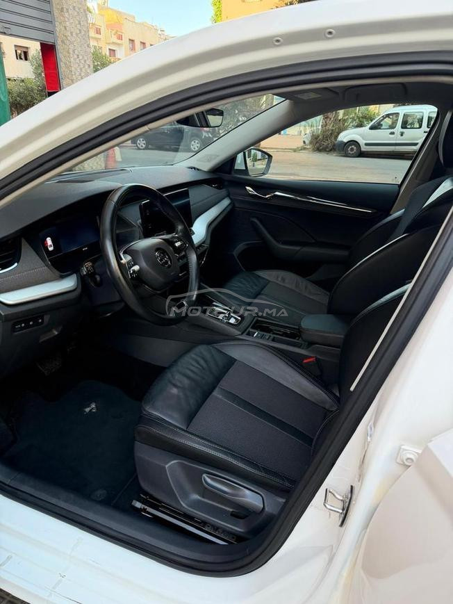 Skoda octavia 2023