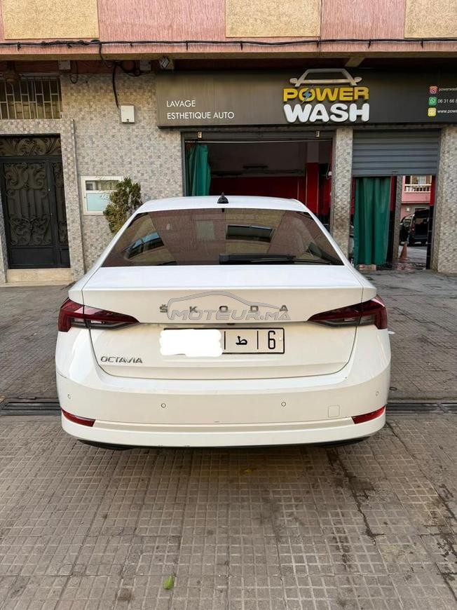 Skoda octavia 2023