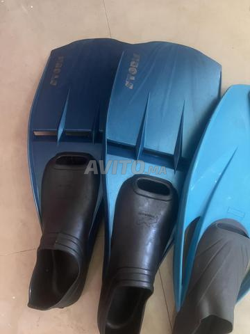 Paires de palmes - 2
