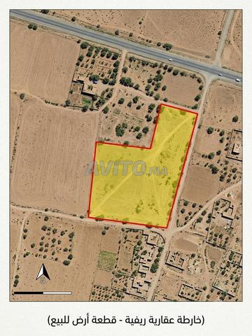 Terrain agricole exceptionnel à vendre - Sidi Abderezak (Khezazna)
