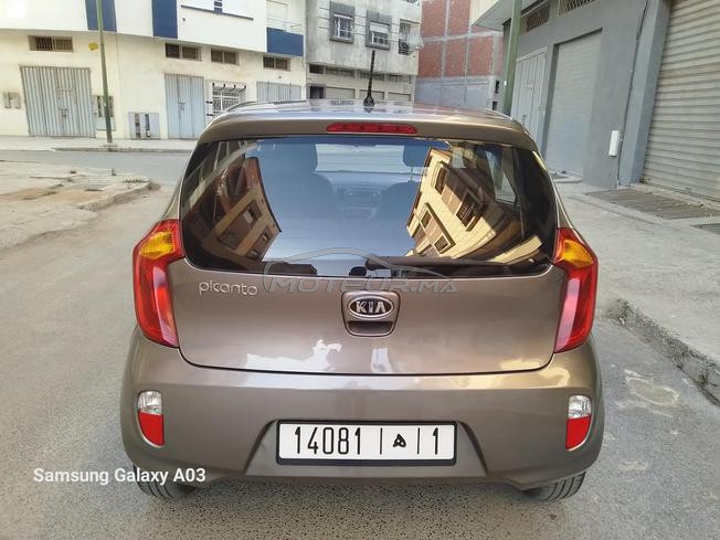 picanto (full option)