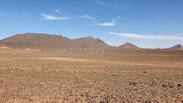 Terrain agricole de 99 hectares - 2