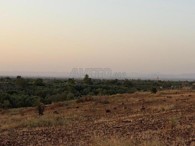 Terrain agricole 16 000 m² à louer rte Ourika - 2