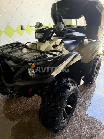 Grizzly 700 - 2