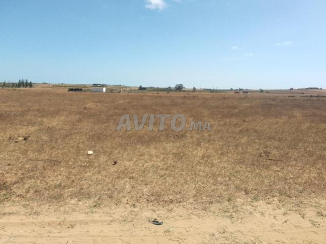 2 hectares et 2 khadama - 2