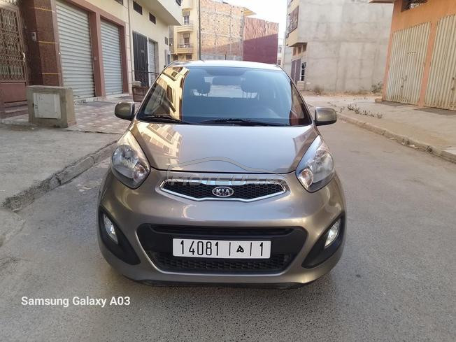 picanto (full option)