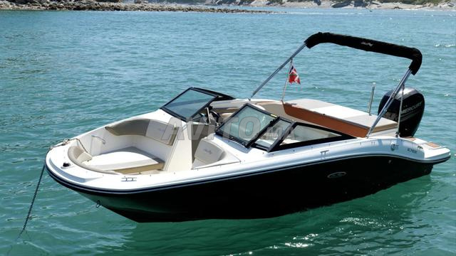 Bateau Sea Ray 190 SPX OB 150 cv Mercury - 2