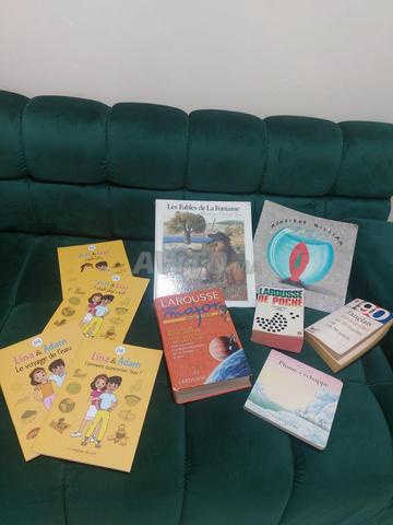 Des livres et des dictionnaires à vendre - 2