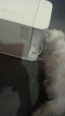 آلة قهوة - 2