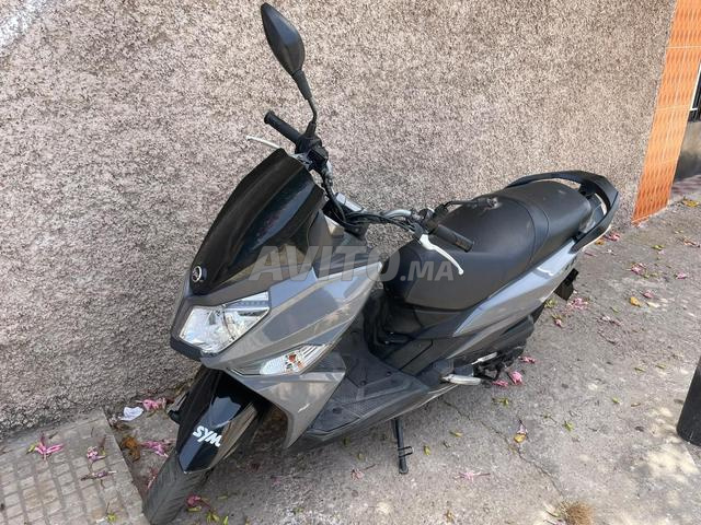 0668904952 - 2