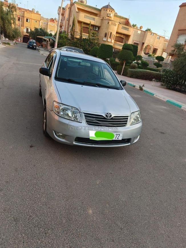 لنملنماةماةوالنحو