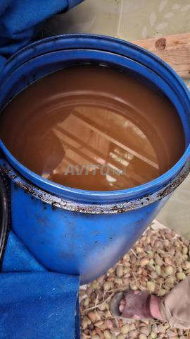 1000 litres d'huile d'olive locale - 2