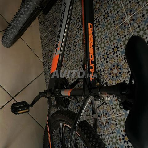 Vélo d'occasion à vendre THUNDER BIRD - 2