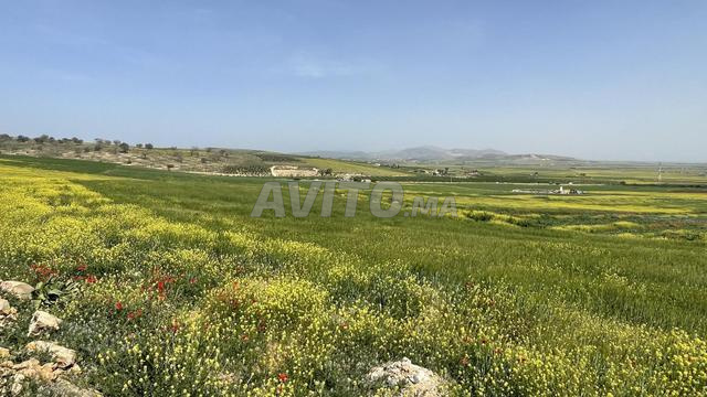 أرض محفظة للبيع - 2